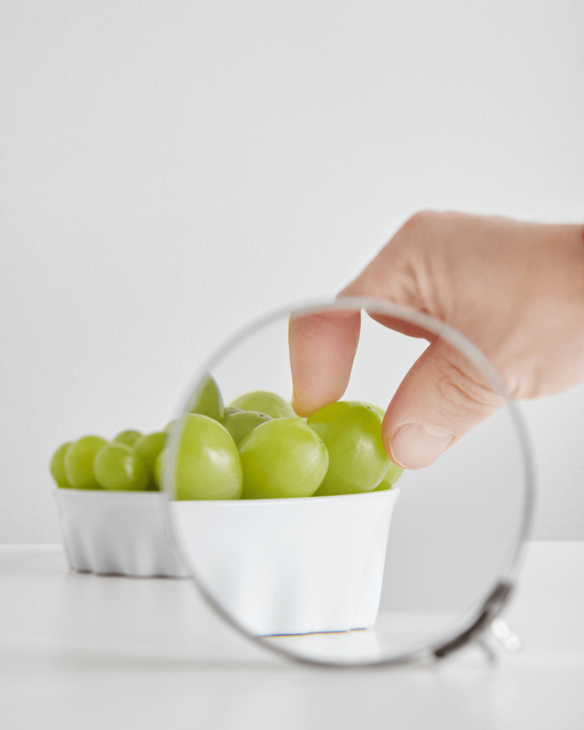 Capacitacion Auditoria Interna HACCP y BPM